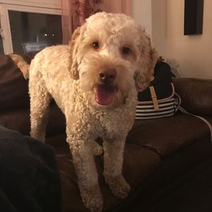 Meet your Posher, Hanna